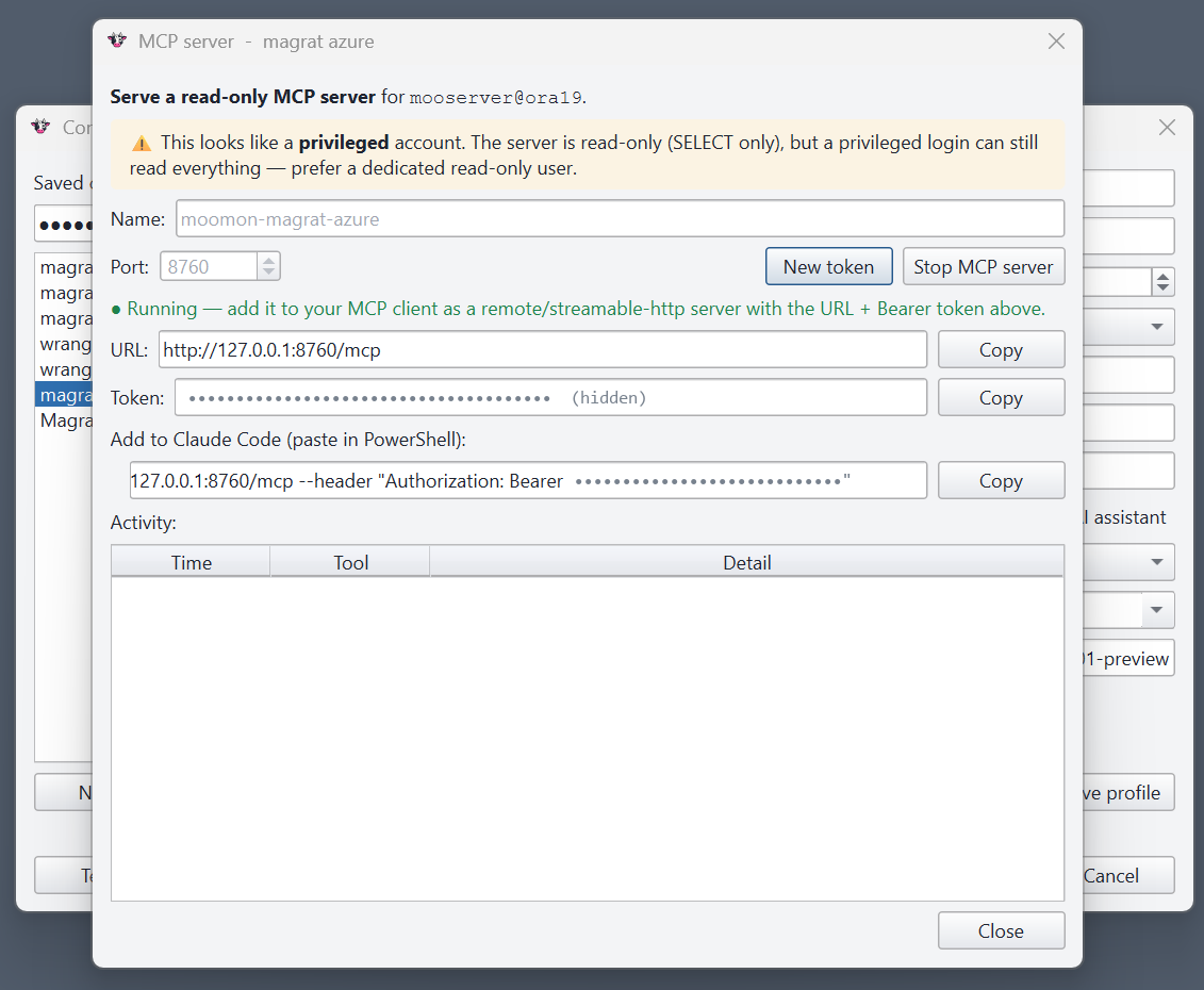 The MCP Server window